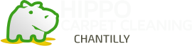 Hippo Carpet Cleaning Chantilly